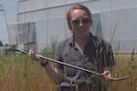 Molly Carney of OSU holds a metal version of a traditional digging stick, given to her by members of the Kalispel Tribe. This design is preferred over many other digging tools, as it's less apt to split the camas bulb.