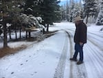 Todd Nash, rancher and Wallowa County commissioner, examines wolf tracks on a road in the Wallowa-Whitman National Forest, which leads up to a pasture where his cattle graze. 