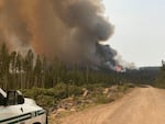 Fire and dark smoke rise from trees with a police or firefighting vehicle is partially visible in the foreground.