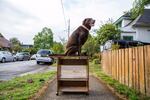 Craig Giffen helps his dog Ms. Freddie onto a table in SE Portland.