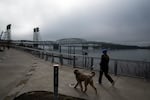 FILE: With the Interstate 5 bridge in the background, a person walks a dog on Feb. 13, 2024, in Vancouver, Wash. The city welcomed nearly 2,000 new residents in the year leading up to last July.