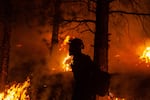 a photo of a firefighter