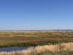 Important summertime habitat for greater sage grouse at Roaring Springs Ranch.