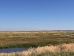 Important summertime habitat for greater sage grouse at Roaring Springs Ranch.