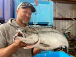 Fisherman Jesse Coon holds up a Chinook salmon in Garibaldi, Ore. on April 29, 2026.