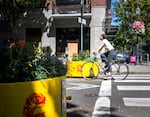 A Portlander rides their bike past traffic diverters on Aug 9, 2025. Multiple Portlanders chose to protest the removal of multiple diverters for the sake of civilian safety, some of which even arriving at the scene as early as 6am. 