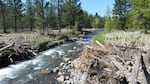 Until 1997, irrigators drained Wychus Creek almost dry. Replacing canals with pipes and using drip irrigation has helped restore flow in the creek. 