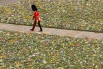 A member of the Coldstream Guards walks past a bed of flowers during the State Funeral of Queen Elizabeth II on Monday.