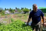 Americans Building Community Executive Director Mark Maggiora at the community garden he helped create off a parking lot near Fourth Plain.