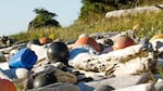 Derelict floats and other fisher gear make up some of the most visible marine debris dotting Pacific Northwest shorelines.