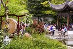 People watch Portland Taiko perform at Lan Su Chinese Garden to celebrate Asian-Pacific American Heritage Month in 2017. The garden had four performances each weekend throughout May from cultural groups representing a wide variety of Asian and Pacific nations.