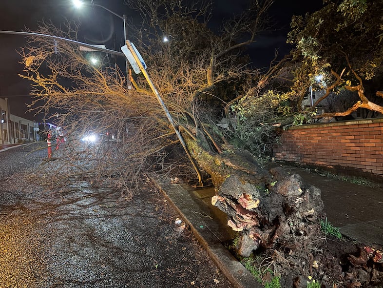 Storm damage on Wednesday, Dec. 19, 2025 near Northwest 11th Avenue and Couch Street in Portland.