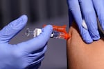 A gloved worker holding a syringe administers a vaccine to a patient.