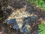 The wing of a Corsair found in Palau by Project Recover.