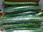 Plastic wrap used on cucumbers has been found to contain phthalates. 