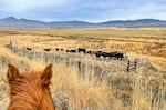 Pictured: A ranch in Eastern Oregon. Regenerative ranching aims to focus more on the land than the livestock by implementing more environmentally friendly practices like controlled grazing. 