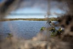 A fish pond is pictured through a duck blind at Santiam Valley Ranch in Turner, Ore., Thursday, April 15, 2021.