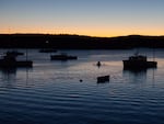 A lobsterman paddles out to his boat in a harbor in Maine.