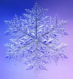 This 10.0 mm (0.4 inches) monster snowflake holds the Guinness record for the largest snow crystal. A microscope was used to photograph it in four quadrants, which were later digitally recombined.