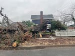 A tree fallen in front of a house in Cottage Grove following this week's storm.