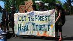 Opponents of the Jazz timber sale protested outside Mt. Hood National Forest Headquarters today.