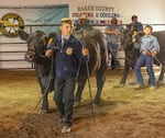 Ryan Thompson, 13, won Reserve Grand Champion in the large cattle weight class with his steer at the fair.