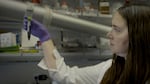 Olena Taratula, a researcher at the OSU/OHSU College of Pharmacy pictured here in a video still captured on Oct. 8, 2024, is working to create nanoparticles that can help diagnose, locate and eliminate ectopic pregnancies - a dangerous condition where a fertilized egg implants and grows outside the uterus.