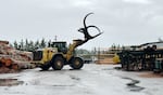 The log yard at Canyon Lumber in Everett on September 27, 2024. The company specializes in large timbers for natural wooden interiors in high-end construction. They rely on DNR for their raw materials.