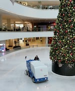 A zamboni on a clean sheet of ice. A very large tree is visible next to to the ice.