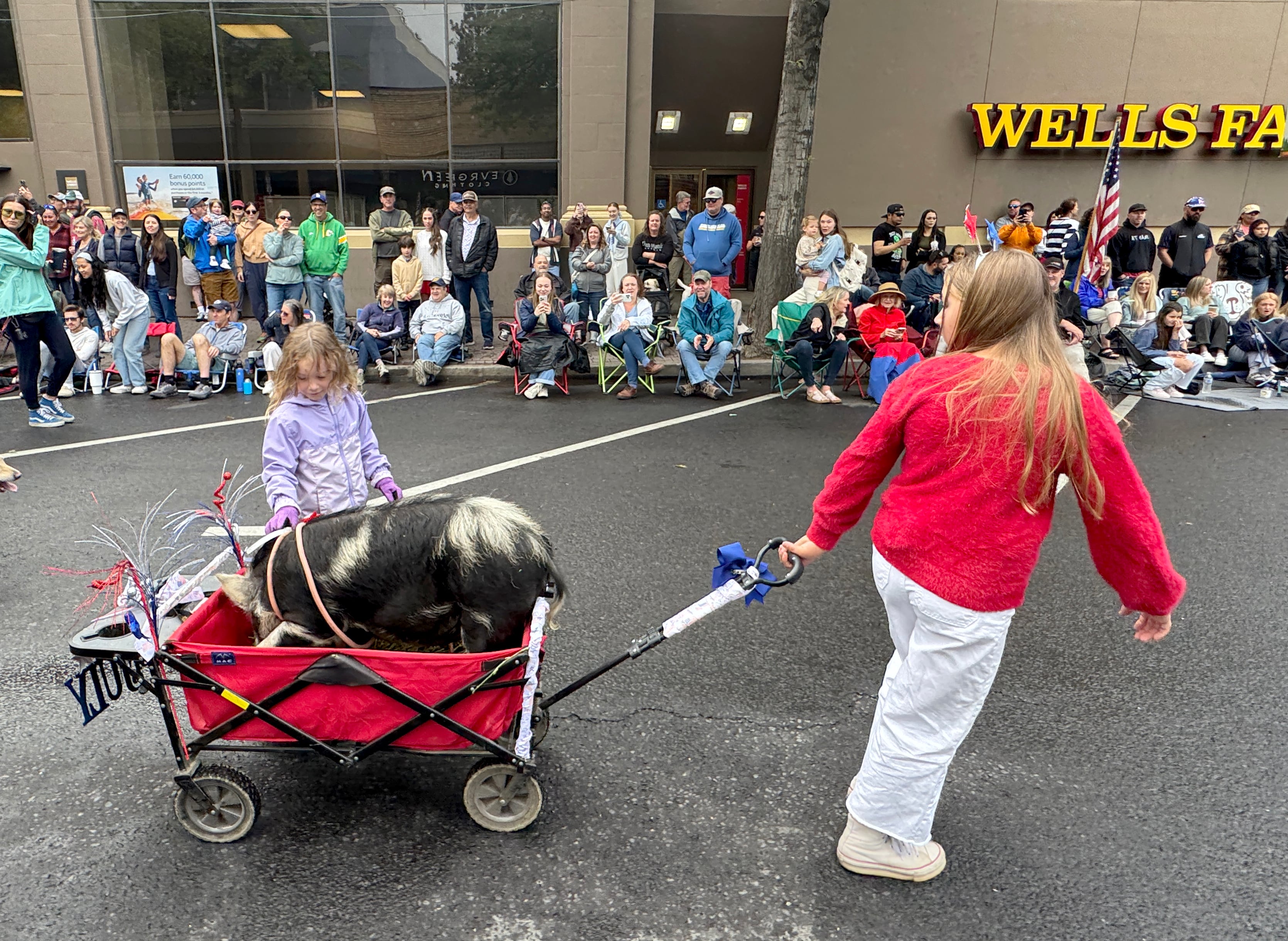 A pig in a wagon is pulled down a street lined with spectators in downtown Bend for the annual pet parade on July 4, 2025.
