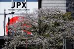 Cherry blossoms bloom across a street from the Tokyo Stock Exchange building in Tokyo, Wednesday, April 9, 2025. 