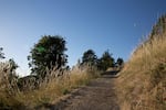 Mount Pisgah Arboretum in Springfield offers a peaceful running experience outside city limits.