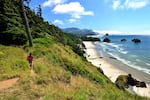 A hiker navigates a coastal trail on a sunny day at the beach.