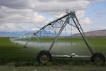 An irrigation pivot in Harney County, May 27, 2019. Farms here raise alfalfa 