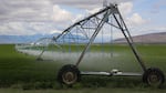 An irrigation pivot in Harney County, May 27, 2019. Farms here raise alfalfa 
