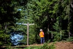 Jon Kloor, a member of Consumers Power Inc., walks along trees that have been trimmed back from some of their company’s power lines in Blodgett, Ore., July 23, 2025. Electric cooperatives such as Consumers Power have different business models than shareholder companies, which allows them to be more local and community driven. 