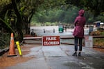 A visitor peeks past the barriers at the entrance of Muir Woods National Monument in Marin County, CA, which is closed as a consequence of the government shutdown on Oct. 1, 2025.