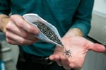 Mac Gifford, a water quality engineer with the Portland Water Bureau, pours anthracite into his hand, July 16, 2024. Along with sand, anthracite is used in the final stage of the new Bull Run filtration process to collect and filter out solids.