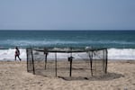 A protective fence surrounds a sea turtle nesting site on the beach in Huntington Beach, Calif., Tuesday, Sept. 22, 2026. (AP Photo/Jae C. Hong)