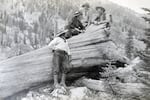 This photo provided by the Reece Family Archive shows George Birnie, left, Jean MacDonald Birnie, Grace Carter and Raymond McKennon, right, in the Wallowa Mountains in 1913.