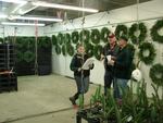 Gary Chastagner, center, talks with a grower and wreath evaluator.