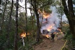 A firefighter monitors a burnout in the Chetco Bar Fire, Tuesday, Sept. 19, 2017.