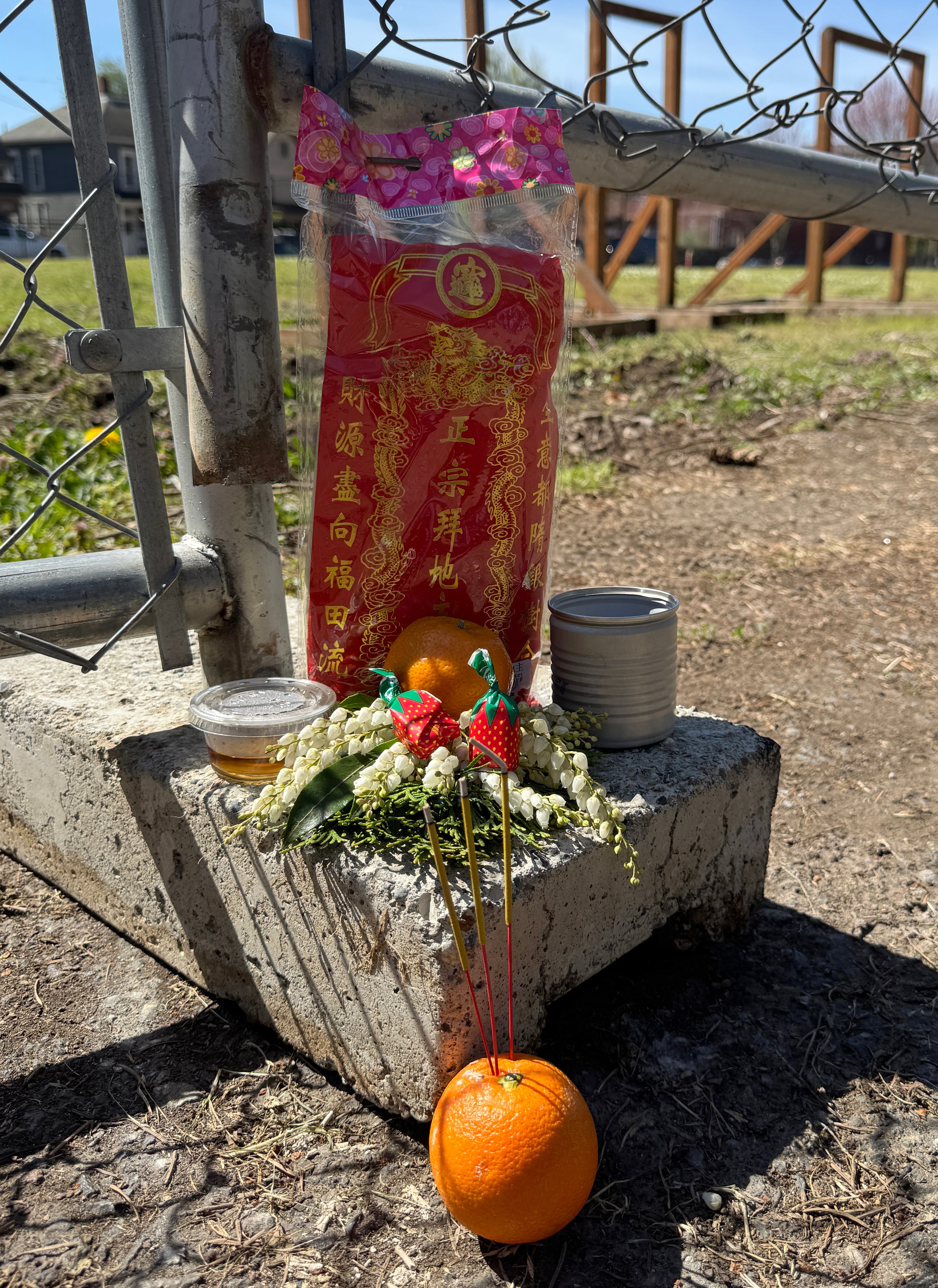 Qingming ritual offerings — including food, flowers and incense — are placed at the fence built around Block 14, the historic burial site of early Chinese immigrants, at Lone Fir Cemetery in Portland, Ore., on April 4, 2026.