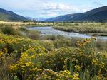 The Blackfoot River converges with the Clark Fork River just east of Missoula, Mont. Both rivers were temporarily placed under fishing restrictions this summer due to high water temperatures.