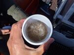 Zooplankton, a primary source of food for gray whales, collected off the Oregon Coast can be seen in this cup.