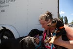 Chantel Helwig, 44, holds her dogs, Odin, Rider and Bear. Helwig is seeking refuge from the Darlene 3 fire at the La Pine High School on June 26, 2024 in La Pine, Ore.