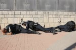 Members of the Israeli frorces take cover on the side of a street in Ashkelon as sirens wail while barrages of rockets are fired from the Gaza Strip into Israel on October 7, 2023.