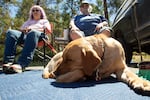 (From left) Pamela Perrine and husband, Terry Perrine, sit with their dog Buckshot in the La Pine High School parking lot on June 26, 2024 in La Pine, Ore. They were evacuated with a Level 3 notice at about 3:45 p.m. the day before.  “Soon as we got the ‘Leave Now,’ we left,” said Terry Perrine.