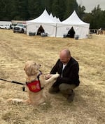 A comfort dog visits the Oakridge Fires incident command post recently in this supplied photo.