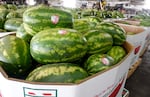 A box brimming with verdant green watermelons sits in a warehouse-like setting.